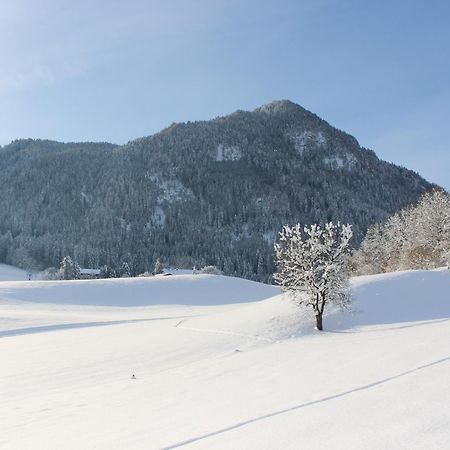 Ferienhaus Weber-Haeusl Reith im Alpbachtal Buitenkant foto
