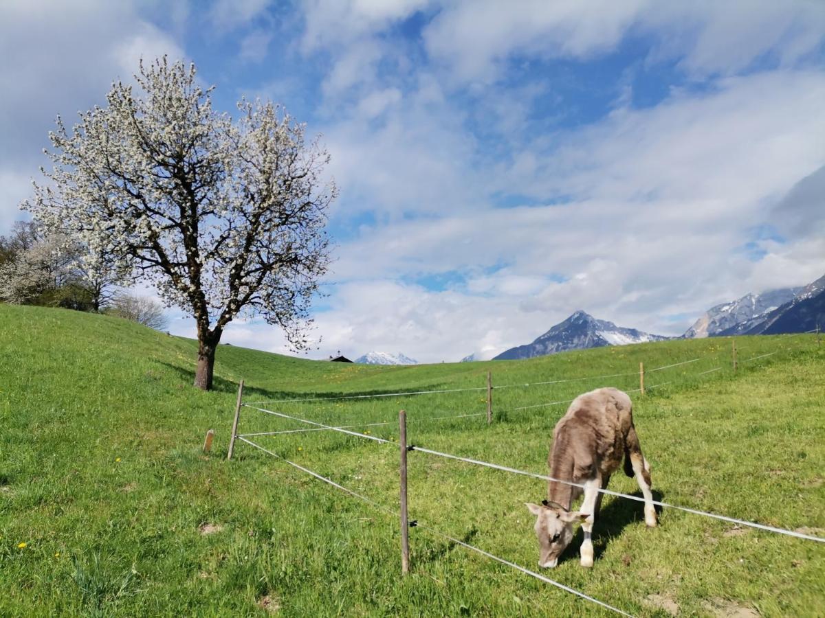 Ferienhaus Weber-Haeusl Reith im Alpbachtal Buitenkant foto