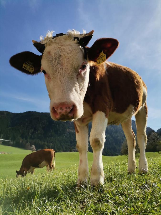 Ferienhaus Weber-Haeusl Reith im Alpbachtal Buitenkant foto