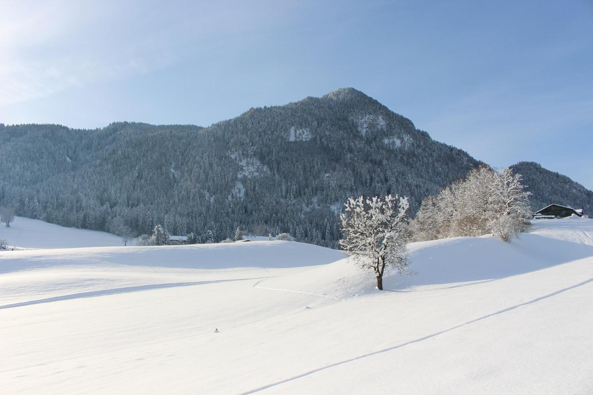 Ferienhaus Weber-Haeusl Reith im Alpbachtal Buitenkant foto